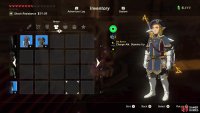 The Royal Armor set.