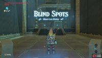 and its titled ‘Blind Spots’.