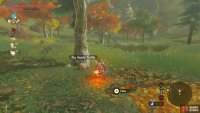 Uh oh, that Lynel has noticed us…