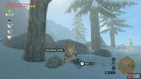 Be sure to wear some warm clothes while foraging here.