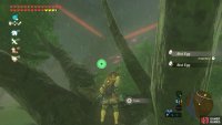 Climb up the trees, while avoiding the Guardian Skywatcher.