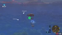 Glide north towards the massive tree trunk.