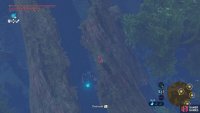 Next, deal with the Blue Bokoblin patrolling the innards of the fallen log.