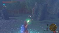 If you go clock-wise around the giant trunk, the next three Bokoblin will be facing away from you.