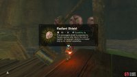 The metal chest contains another Gerudo-based shield.