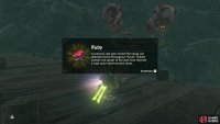 The chest on the Central Hyrule side contains a Ruby.