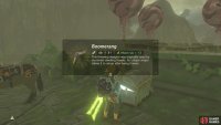 The chest here contains a Boomerang.