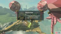 You can glide to this chest or grab it with Magnesis.