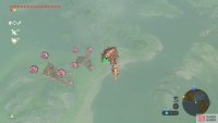 You might not see them at first, but you can glide to these platforms from Lanayru Tower.