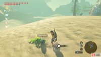These melons can be found growing on the ground.