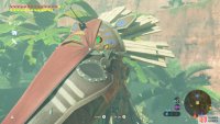 Climb up Lakeside Stable to retrieve this axe.