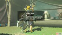 You can receive the Rubber Helm as a reward.