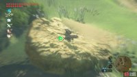 Oops, these crows were just sunbathing…