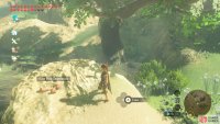 However, Link needs his meat.