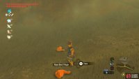 Of course, you’ll have to search the canyon floor or the wooden platforms to grab your meat.