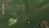 Then search the base of the trees at the side of the road.
