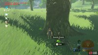 Then search the nearby woods.