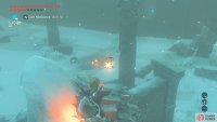 Snipe the Blue Bokoblins, since they have less HP.