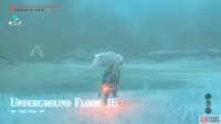 Your opponent is a Frost Talus.