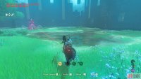 Ride the horse towards the Guardian.