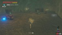 Place a bomb near the bomb barrels, then run in the camp to awaken the Lizalfos.