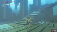 Try to lure the Black Bokoblin near the edge.