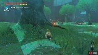 Ahead, there are three Bokoblins sitting by a campfire.