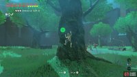 Climb up this tree near the camp. The Bokoblins should be too busy dancing to notice you.