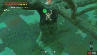At the top of the tree, grab the two Bird Eggs.