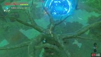 Don’t worry if you miss. The Bokoblin are quite thick and shouldn’t see you.