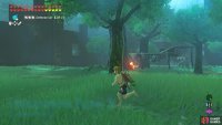 Here, there’s a Fire Chuchu and a raised Bokoblin encampment.