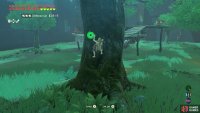 Climb up the tree on the left side of the camp.