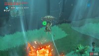 Lure a Fire Chuchu near a wooden platform, then ride the updraft from the burning grass.