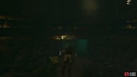 Swim to the first chamber