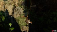 Swing back to the trail