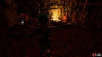 Investigate in front of the fire