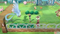 128 Tauros - Fuchsia City: Along the right, en route to the GO Park Complex. 