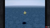 You&rsquo;re looking for a large, slow-moving shadow below you