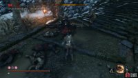 allows you to attack Shume from behind.