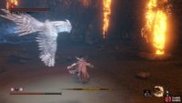 When you see the Blue Owl