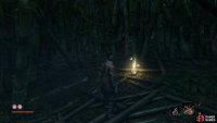 You’ll find this valuable item in the path behind Anayama