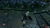 to make it possible to score a stealth Deathblow on Enshin.