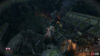 This branch provides a good overview of the area ahead