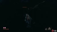 stay and persevere with the hard to reach Treasure Carps, the Combat Skill is useful.
