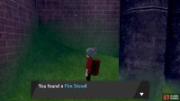 Go all the way up to the wall to find the Fire Stone!