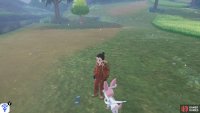 Cobalion’s footprints begin from the river along the south side of the Giant’s Bed.