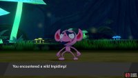 No. 238 Impidimp