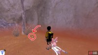 1/10: From the entrance, turn left, while keeping close to the edge of the zone. Nearby, there’s a Pokémon Den. It’s hiding a few paces away from the den, near the tree and cliff wall.