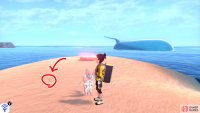 1/11: Start from Armor Station in the Fields of Armor (fly there, if possible), then enter the ocean straight ahead. Head towards the first islet that’s ahead and slightly to the left. Turn left a bit and swim to the longer islet up ahead (with a Pokémon Den). It’s in the middle of that islet.