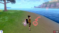 2/11: From Diglett 1, turn left so you’re parallel to the mainland. Head to the far-off island with three trees (it might look like two trees). Upon arrival, travel clock-wise around the island. It’s in the sand, on the side of the island that’s facing the mainland.
